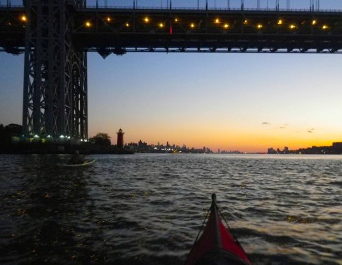 IMGP7312 cropped small