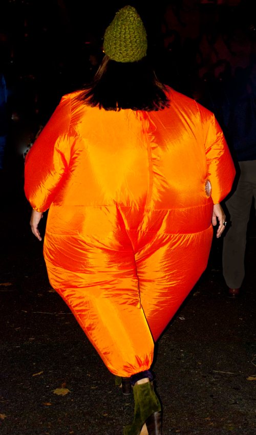 DSC_0087 cropped small