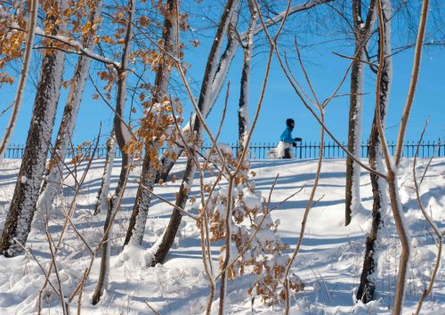 DSC_0305 cropped small