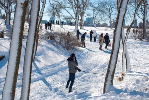 DSC_0647 cropped small