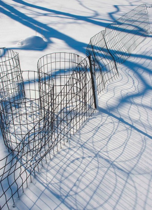 DSC_0745 cropped small