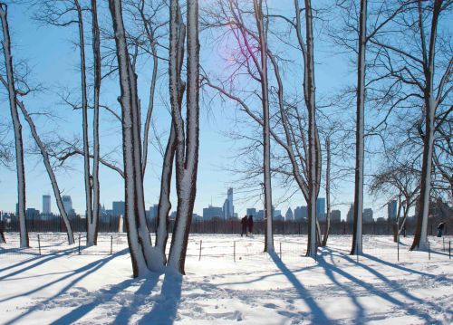 DSC_0786 cropped small