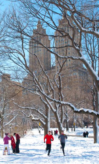 DSC_0795 cropped small