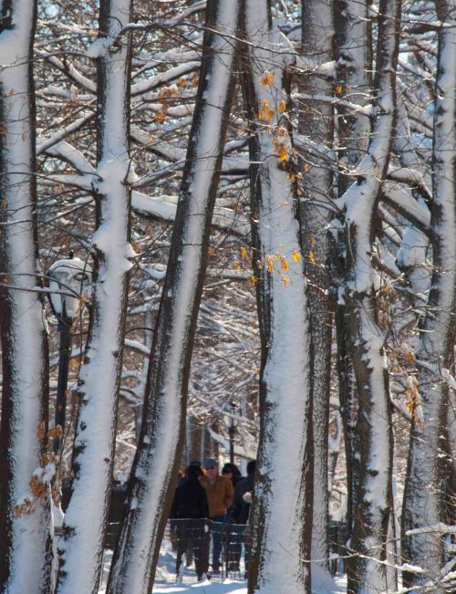 DSC_0831 cropped small