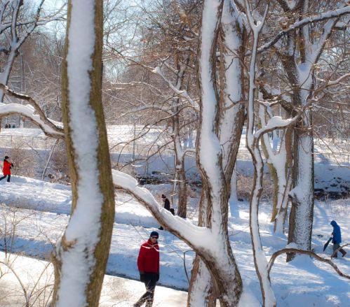 DSC_0942 cropped small 2