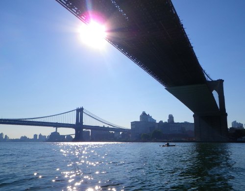 IMGP0003 cropped small