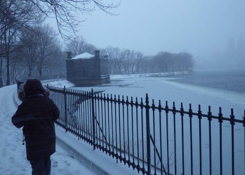 IMGP0370 cropped small