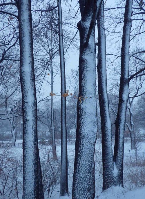 IMGP0379 cropped small