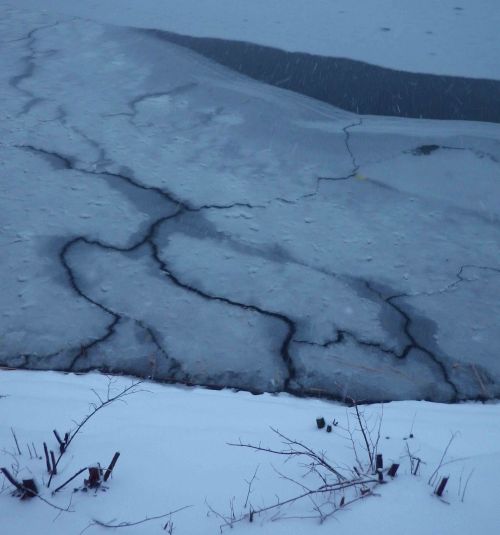 IMGP0397 cropped small