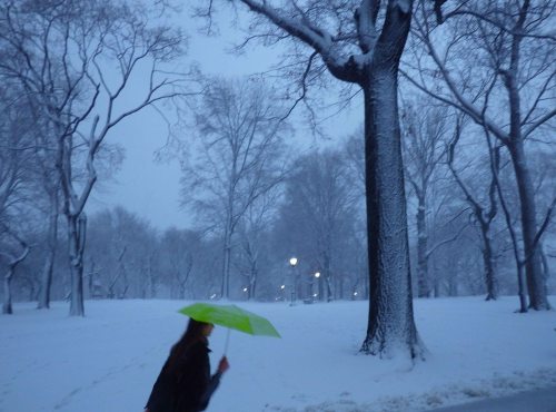 IMGP0429 cropped small