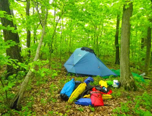 Camp in the woods