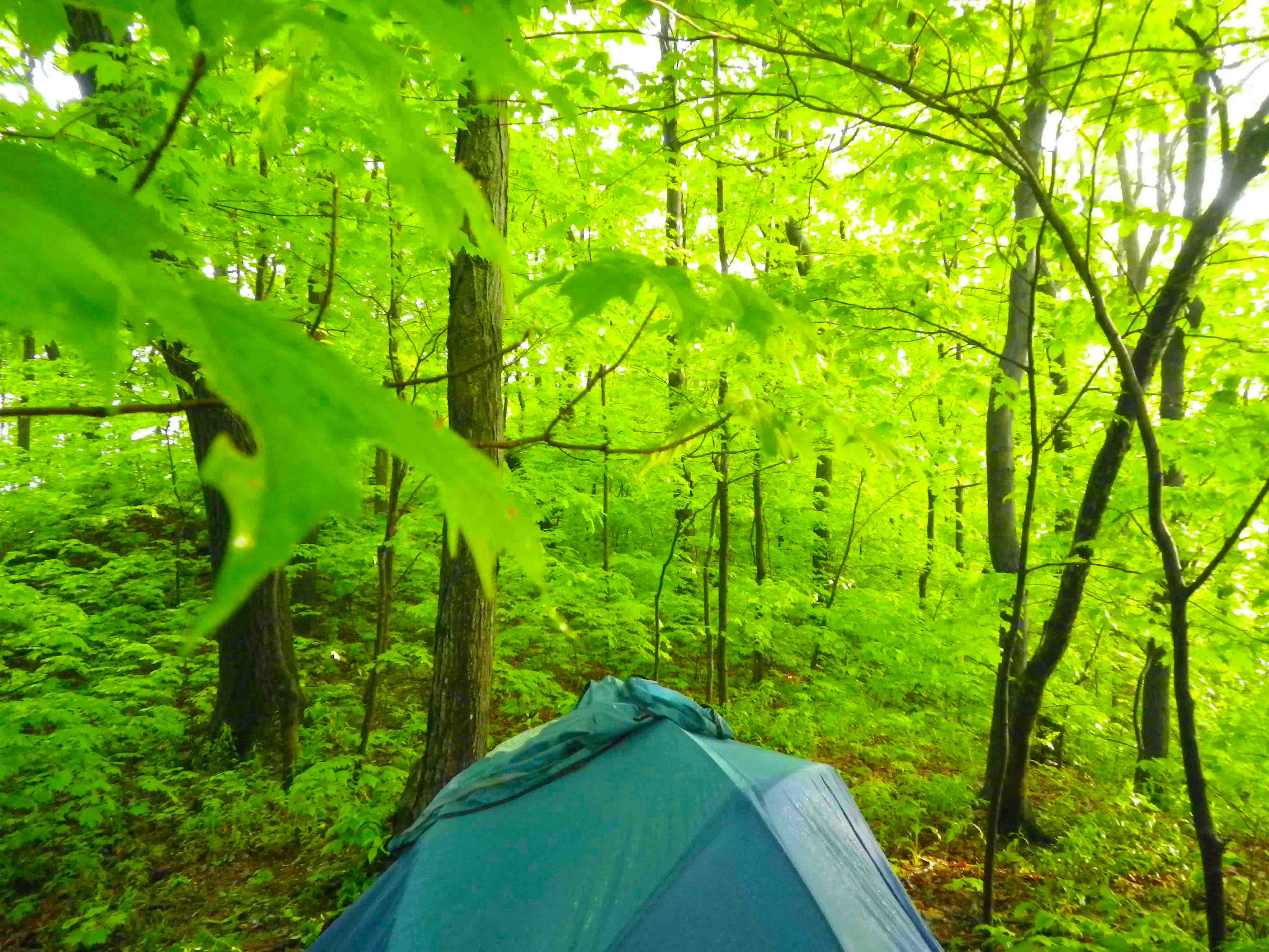 Magdalen Island, May 2011 IMGP0669