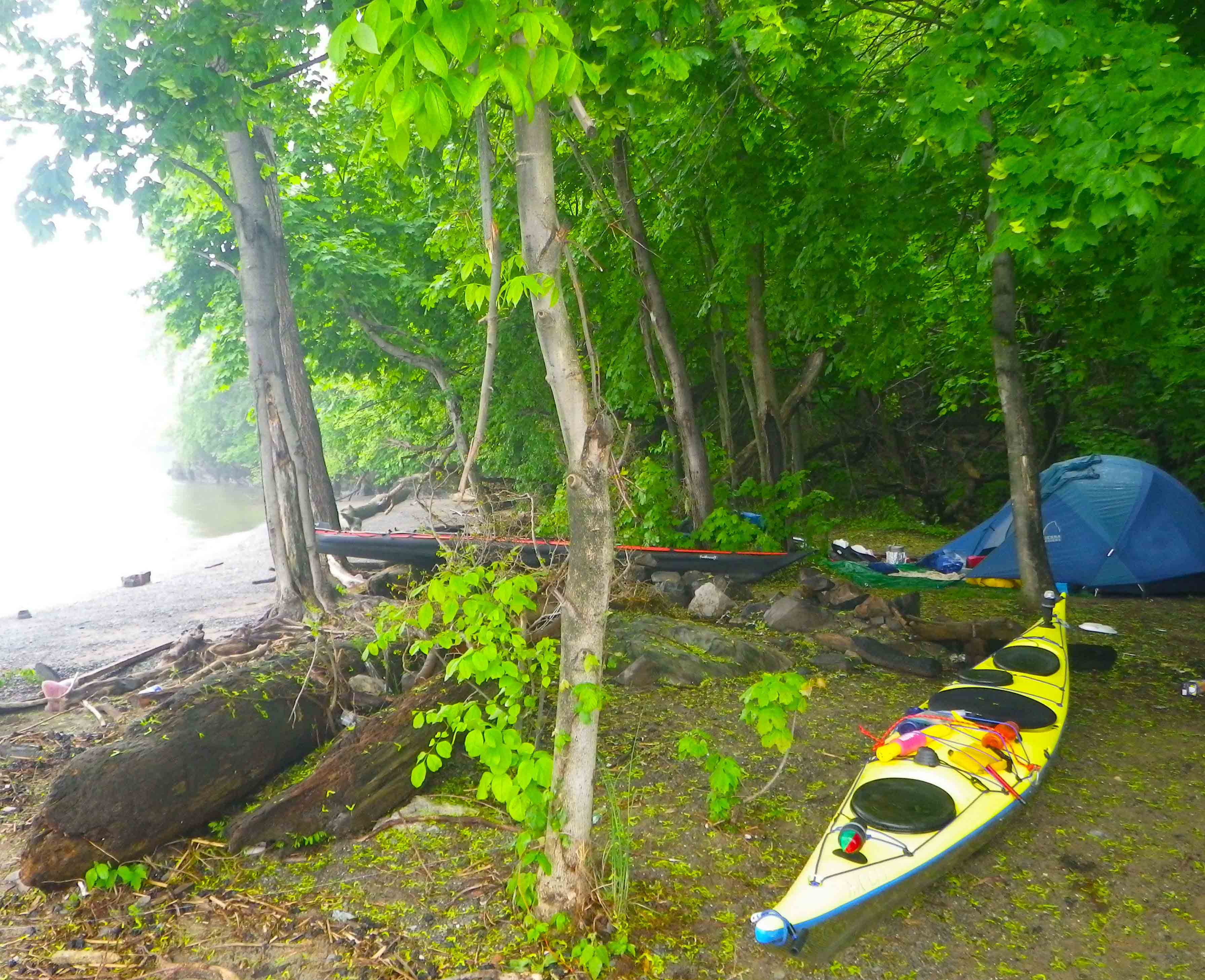 Denning Point, May 2011 IMGP2543 cropped small