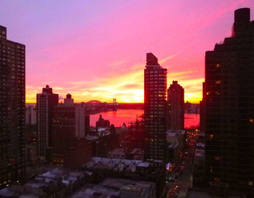 IMGP7816 cropped small 2