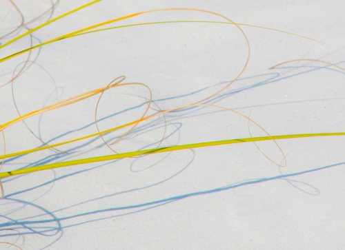 DSC_0005 cropped small 2