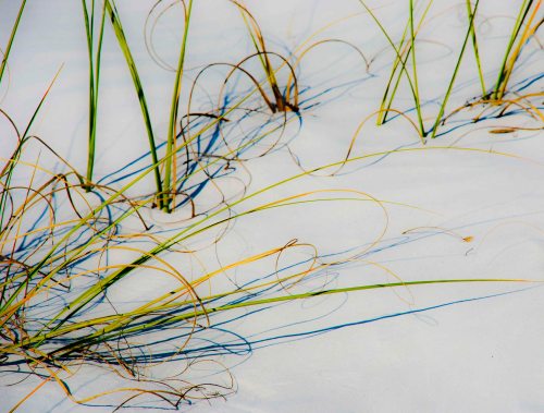 DSC_0005 cropped small