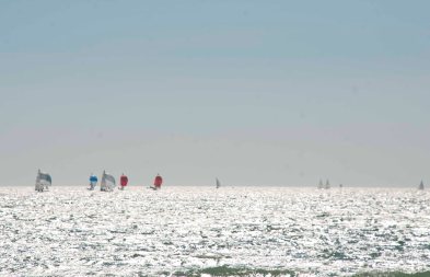 DSC_0022 cropped small