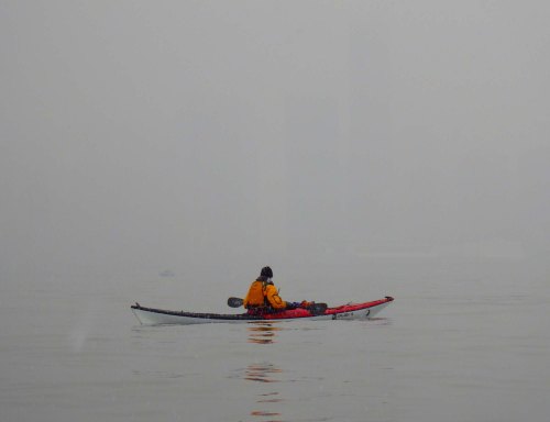 Scanning for the dolphin IMGP1006 cropped small