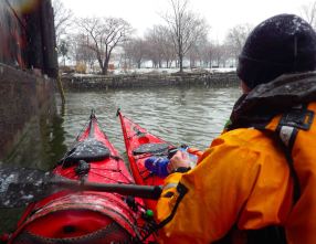 IMGP1118 cropped small