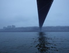 Blue nocturne IMGP1203 cropped small