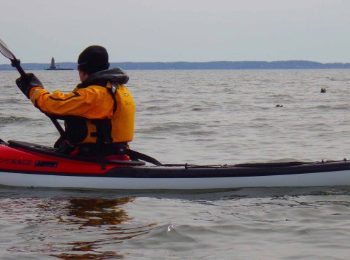 Johna, they are watching you! IMGP1286 cropped small