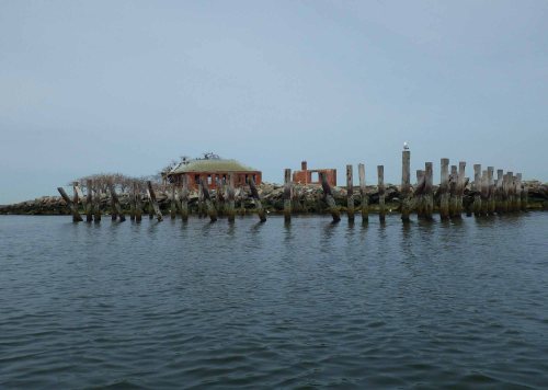 Swinburne Island IMGP1314 cropped small