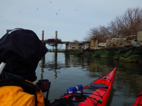 Tea off Hoffman Island IMGP1345 cropped small