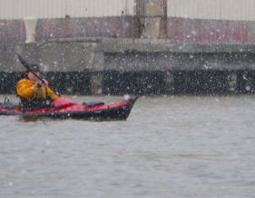 Snow (photo by Johna) IMGP7871 cropped small