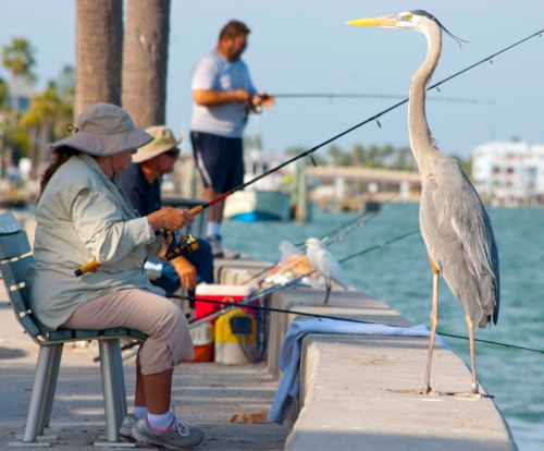 DSC_0256 cropped small