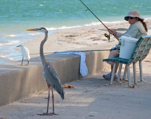 DSC_0275 cropped small