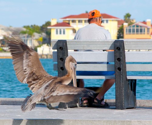 DSC_0297 cropped small