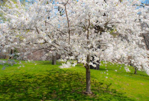 DSC_0414 cropped small