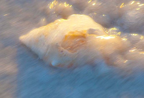 DSC_0738 cropped small 2