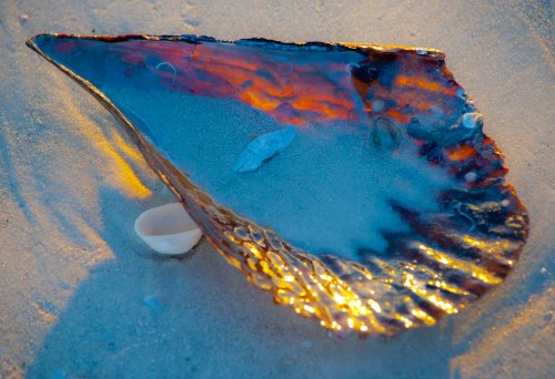 DSC_0767 cropped small