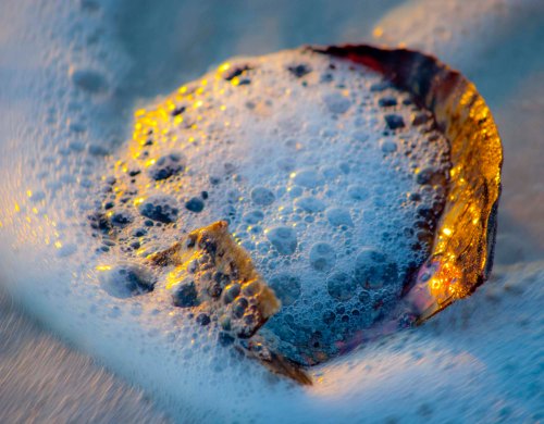 DSC_0803 cropped small 3