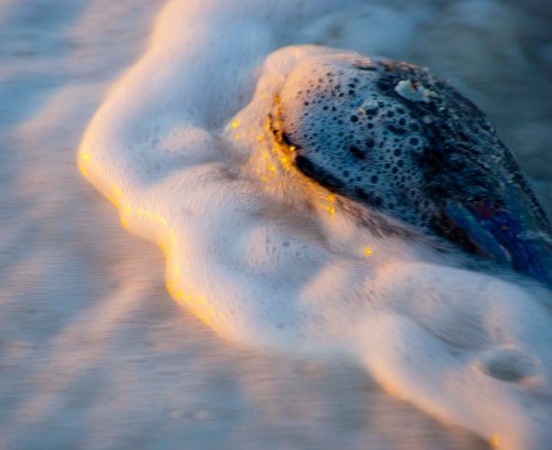 DSC_0814 cropped small 2