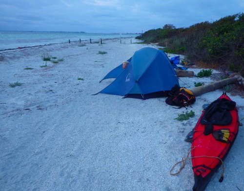 IMGP1625 cropped small