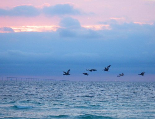 IMGP1630 cropped small