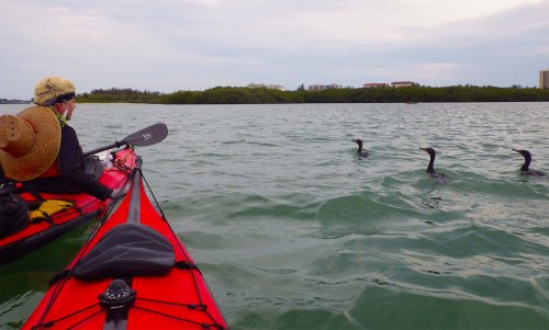 IMGP1785 cropped small