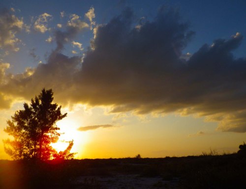 IMGP2716 cropped small