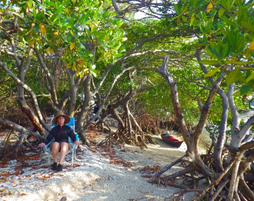 Done for the day IMGP2927 cropped small