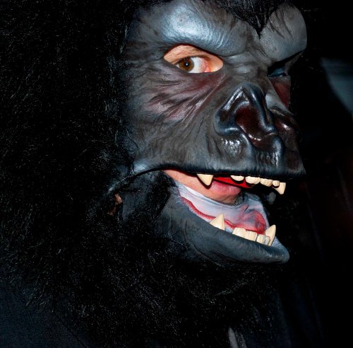 Halloween 2012 DSC_0071 cropped small