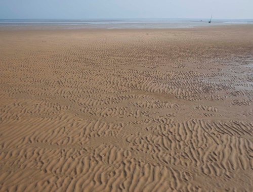 East Brewster, Cape Cod Bay, MA DSC_0076 cropped small