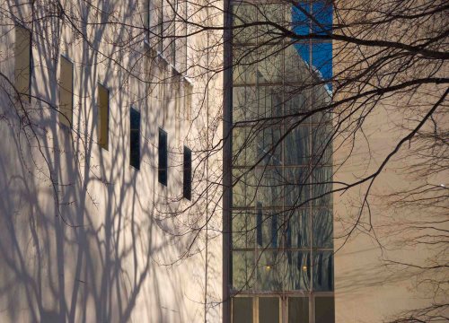 DSC_0090 cropped small