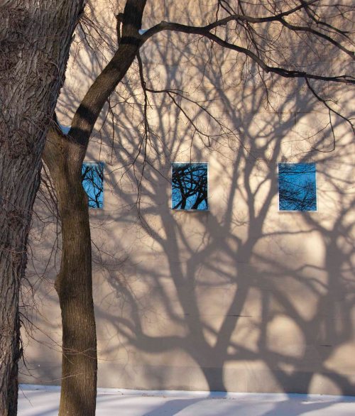 DSC_0113 cropped small