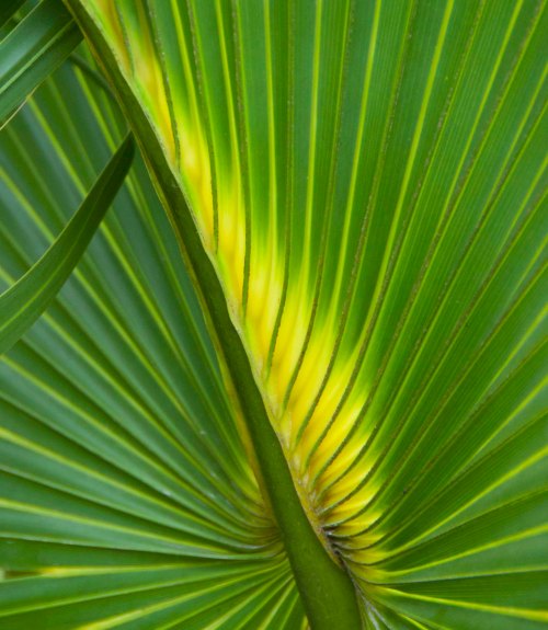 DSC_0122 cropped small 2