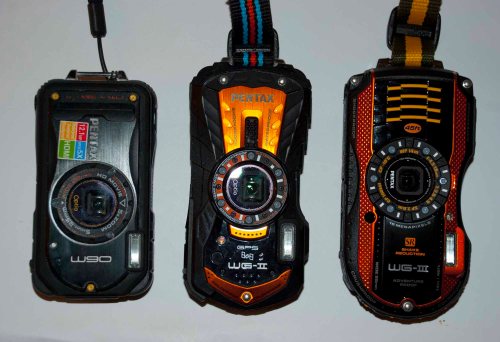 DSC_0192 cropped small