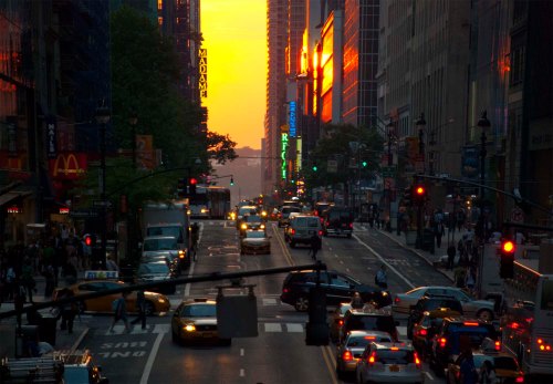 DSC_0221 cropped small