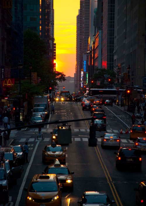 DSC_0240 cropped small