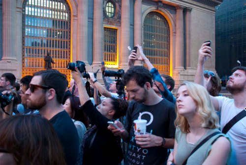 DSC_0247 cropped small